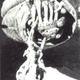 Pictured: “yeti hand” a piece of which Jimmy Stewart smuggled out of India in his wife’s lingerie bag.